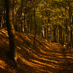 Krajina (veřejné)